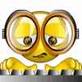Reasons for Engaging a Requirements Analyst – Humorous, but True!