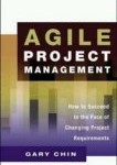 Choosing Between Agile and Classic Management Methods