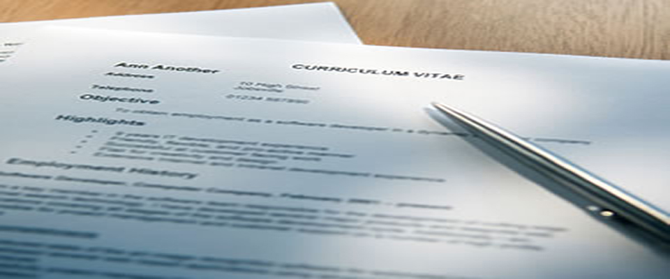A Resume Is A Work Sample Practical Analyst